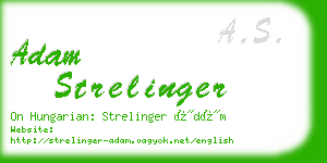 adam strelinger business card